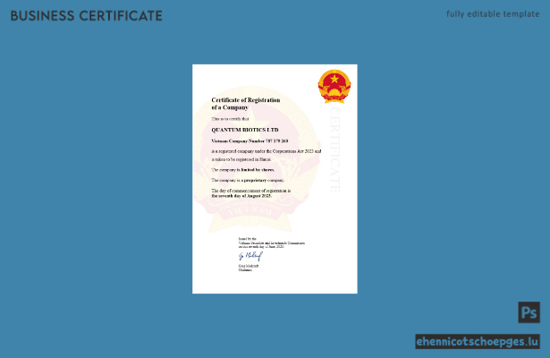 Beispielvorschau für ein vietnamesisches Gewerberegistrierungszertifikat (Word und PDF)